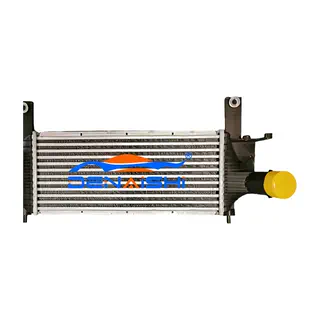intercooler لـ Pathfinder R51 05